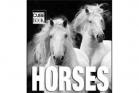 Cube Book - Horses Hardcover |ISBN-10: 978-0-547-56685-6 | ISBN-13: 9780547566856