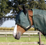 fly mask