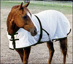 rambo horse blankets